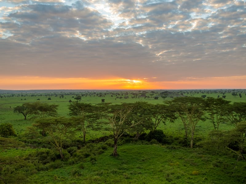 Fotografare il parco nazionale del Serengeti