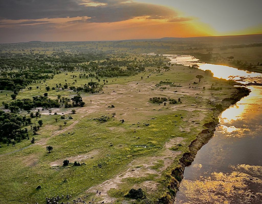 Wilderness Savannah of Serengeti is the Best Experience