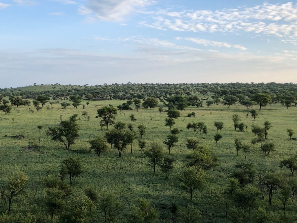 A beautiful ariel view of the Serengeti as seen from Balloon Safari in Tanzania