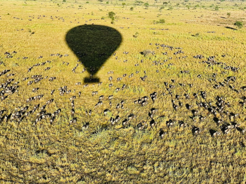 La vista del Parco Nazionale di Tarangire dalla mongolfiera Miracle Experience