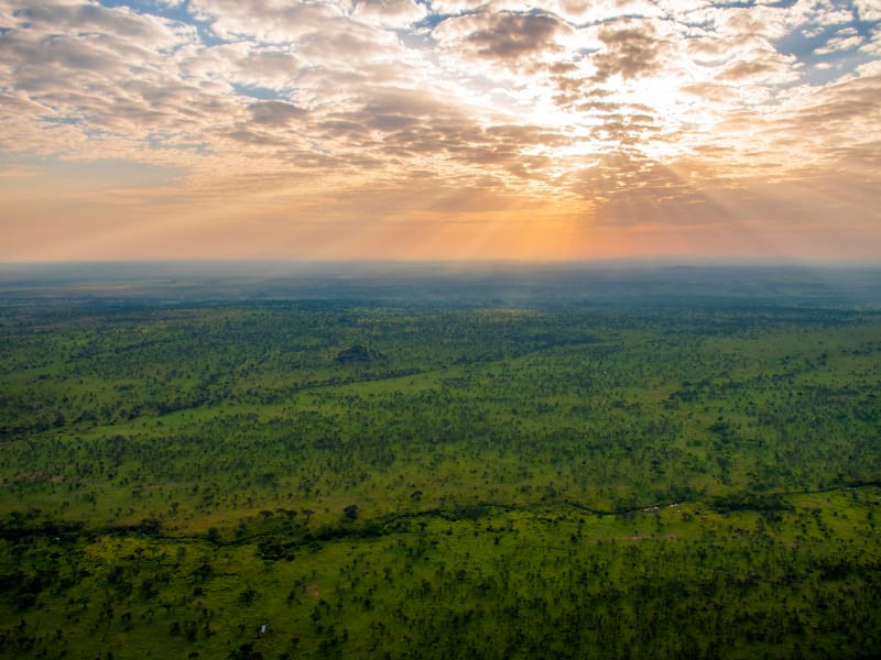 Kogatende Wilderness with green vegetation