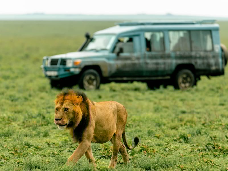  Miracle Experience Balloon Safaris the Best balloon operator In Tanzania