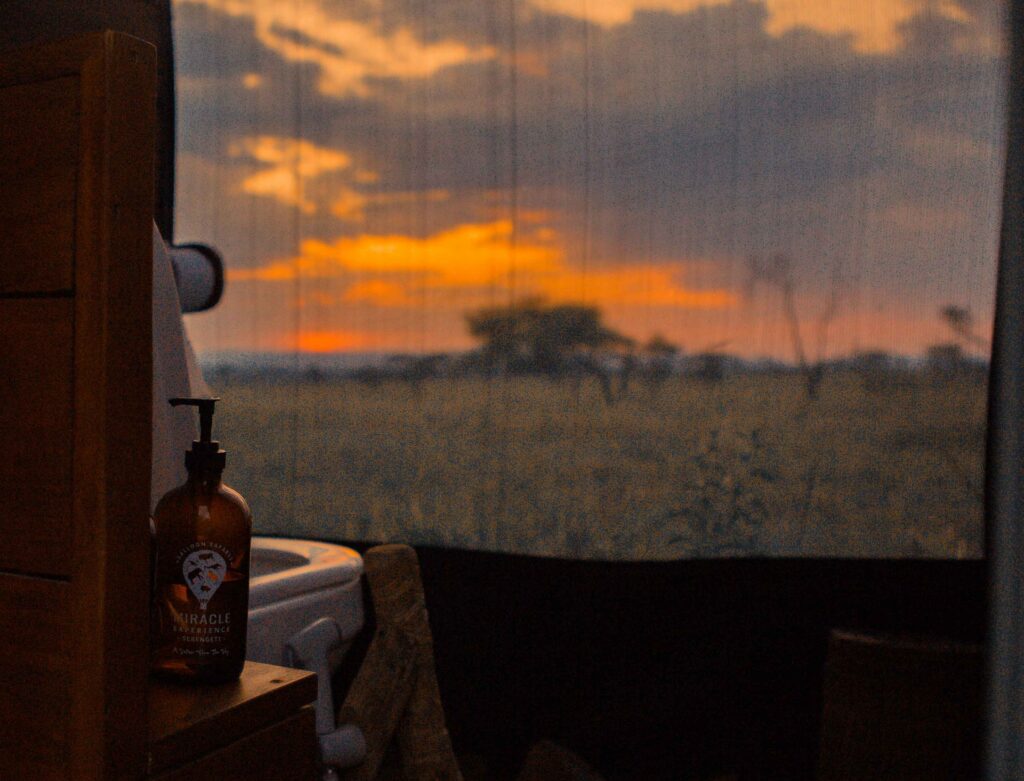 Early morning scene inside the loo with a view