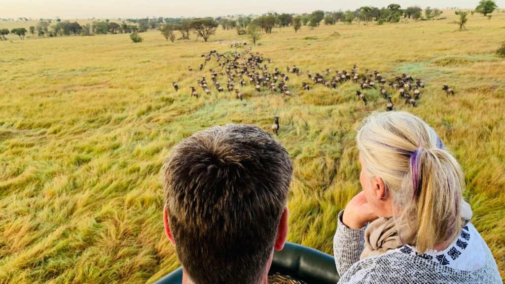Viewing The Migration from a Hot air balloon