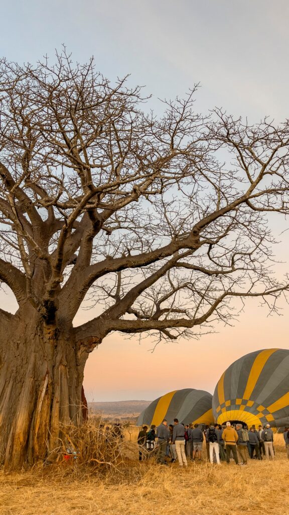 Startplatz in Tarangire