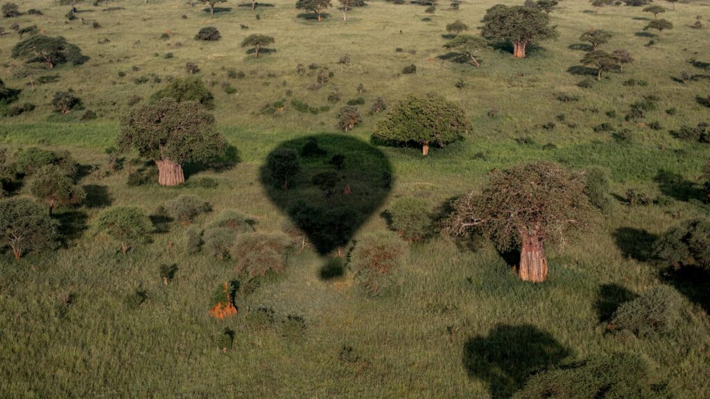 Heißluftballonschatten über dem Tarangire-Nationalpark