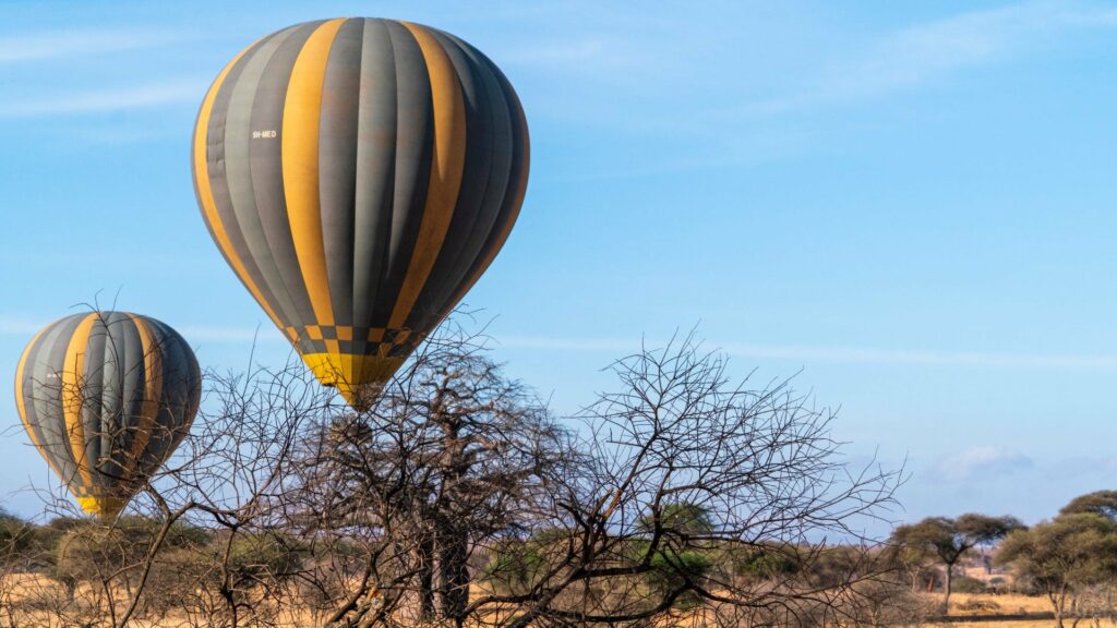 Zwei Ballons fliegen in Tarangire