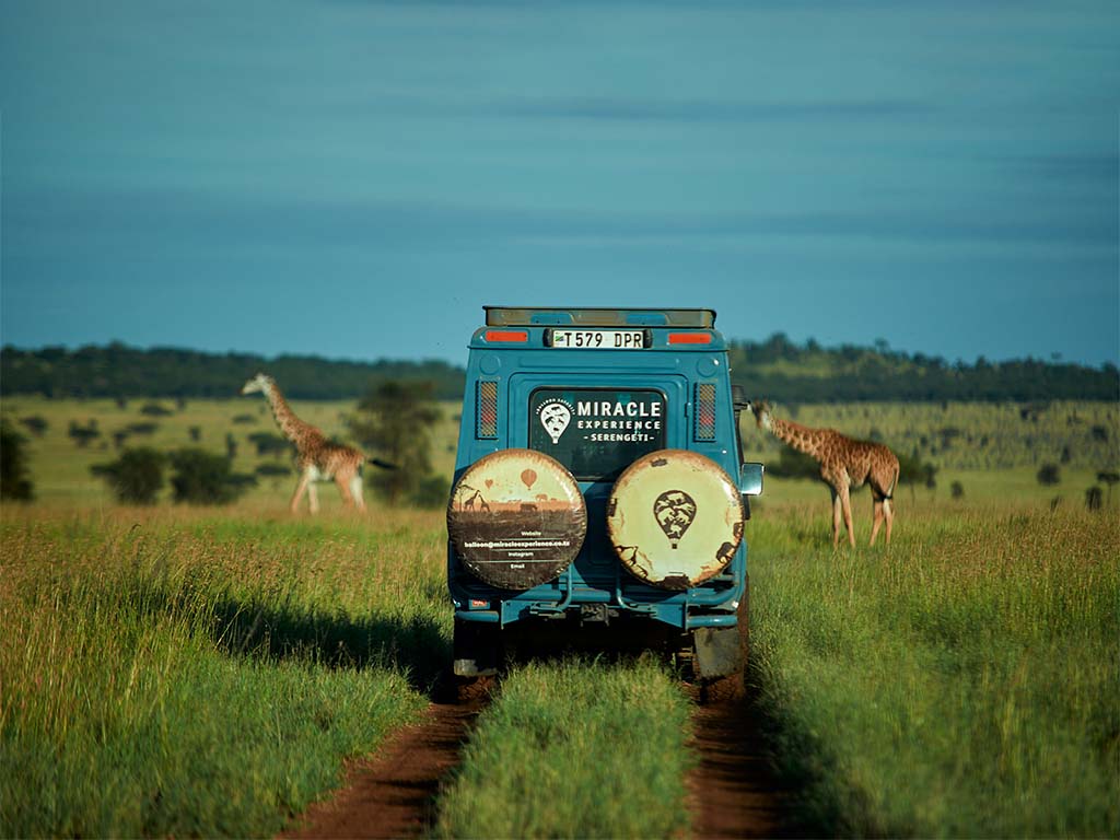 nuestros coches Miracle Experience Balloon Safari en el encuentro con Girrafes