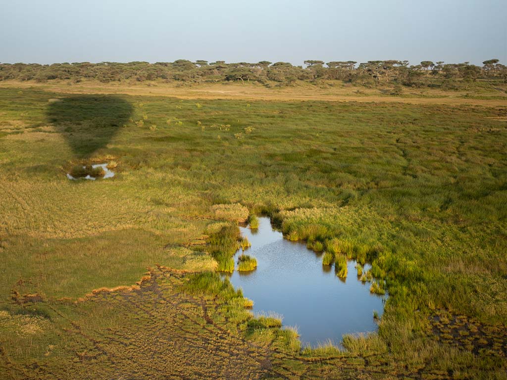 Vegetación del Serengeti vista desde nuestro safari en globo Miracle Experience 