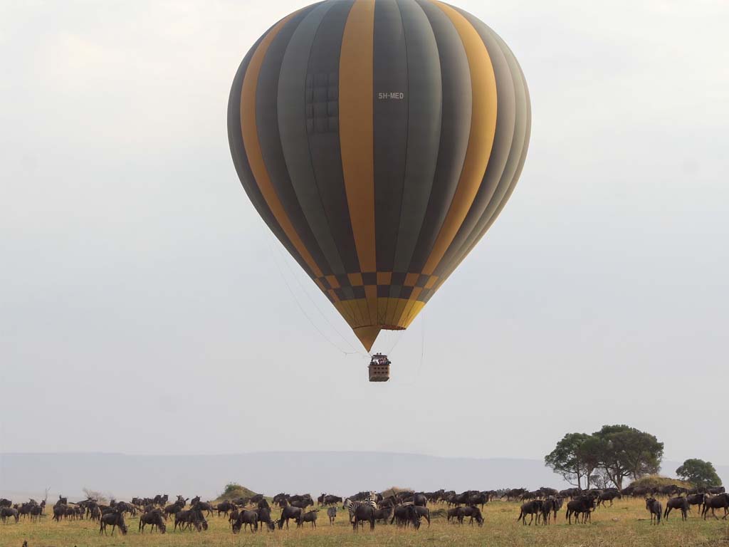 Una impresionante vista aérea desde un globo aerostático de la migración de los ñus por las llanuras del Serengeti.