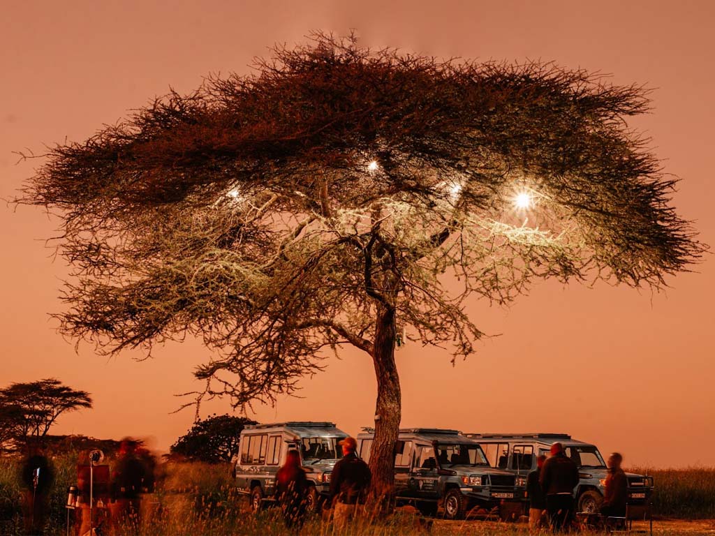 Un romántico paseo al amanecer sobre los impresionantes paisajes de Tanzania con safaris en globo aerostático