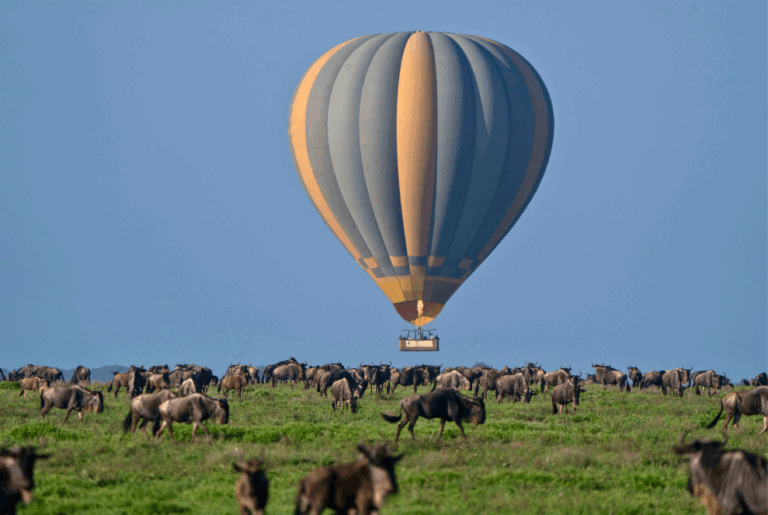 Miracle Experience Balloon in Ndutu during the Calving season.
